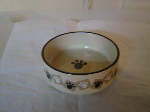 cat bowl 1